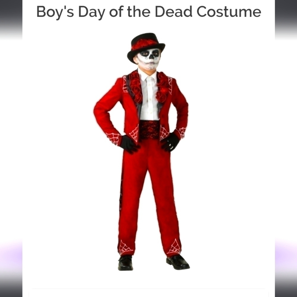 BOY'S DAY OF THE DAY COSTUME, FAUX SATIN & SUEDE, LACE DETAIL, SZ SMALL